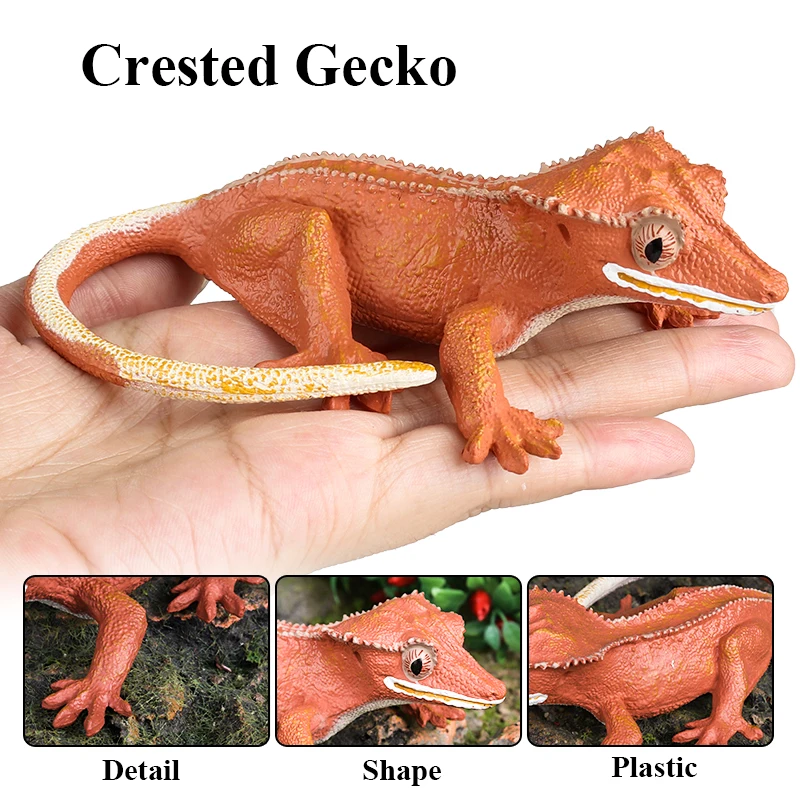 Oenux Reptile Animals Wild Chameleon Lizard Lguana Thorny Devil