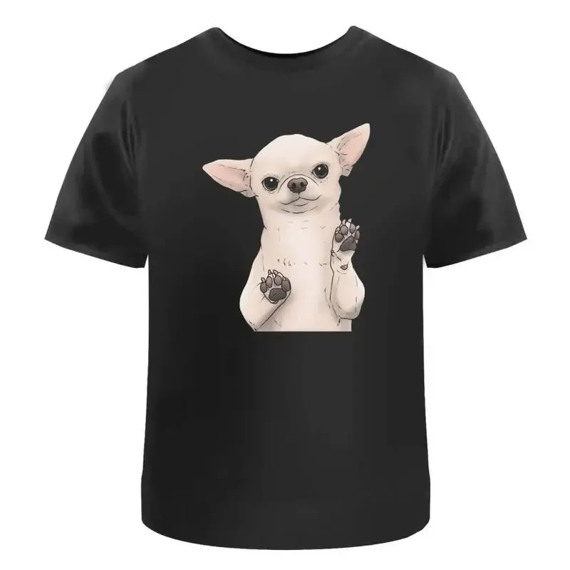 Begging Chihuahua' …