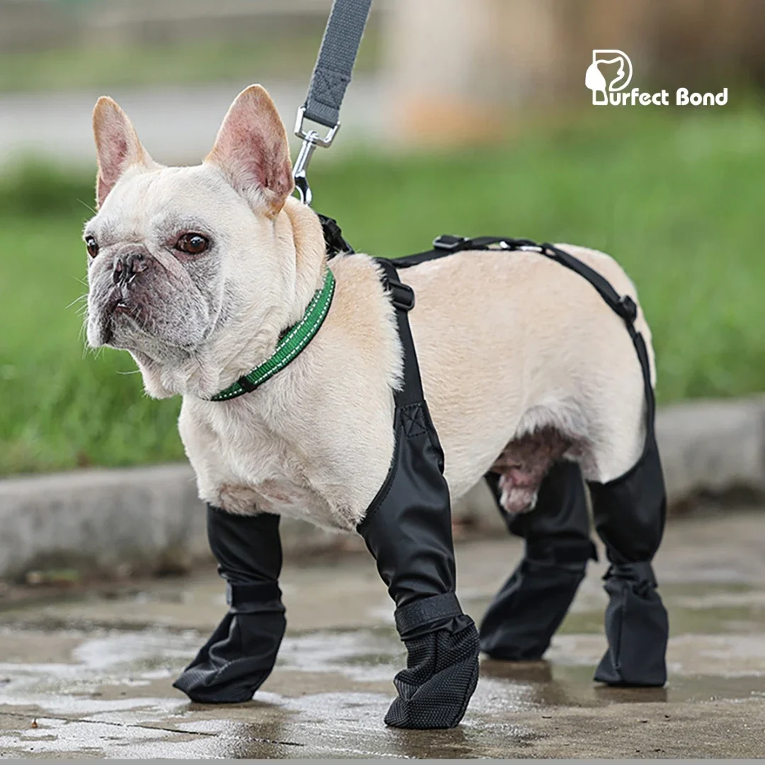 

Outdoor Four-legged Dog Shoes, Comfortable and Breathable Dog Shoes, Dirty and Waterproof Shoes