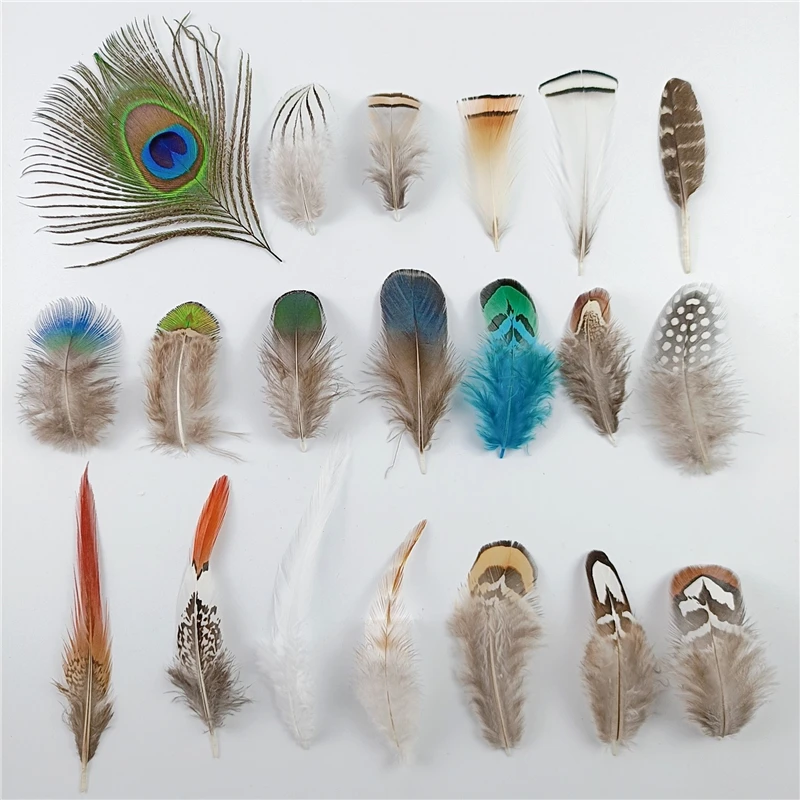 Wholesale Natural Peacock  Pheasant Feather Ostrich Plumes for Needlework and Handicrafts Headdress Small Decor Jewelry Creation