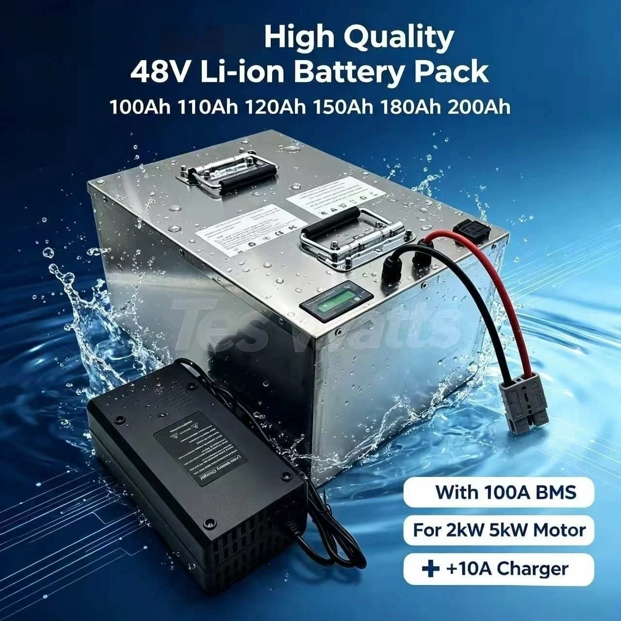 High quality 48v 100Ah 110Ah 120Ah 150Ah 180Ah 200Ah Li-ion battery pack with BMS for 2kw ,5kw motor +10A charger
