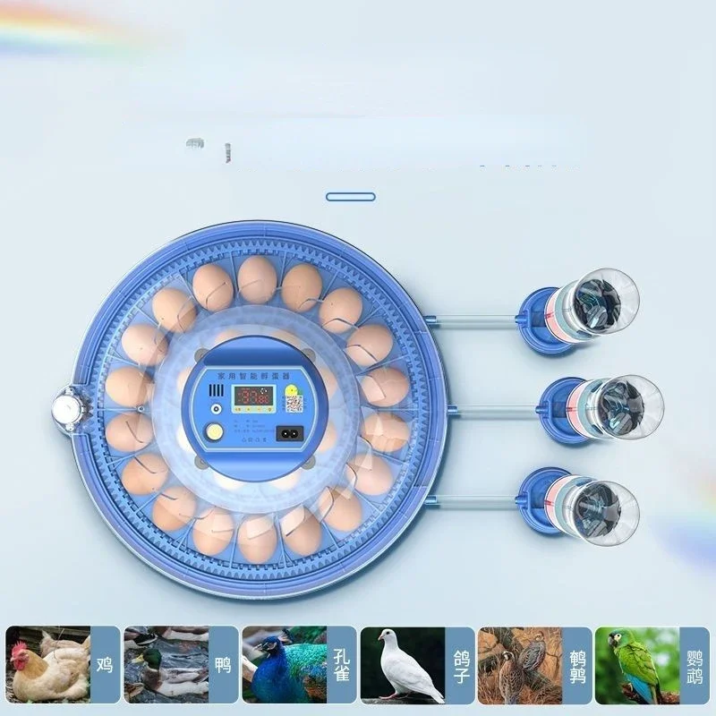 

Небольшая бытовая интеллектуальная полностью автоматическая машина для инкубационных цыплят, мини-летающая тарелка с яйцом попугая и птицы.