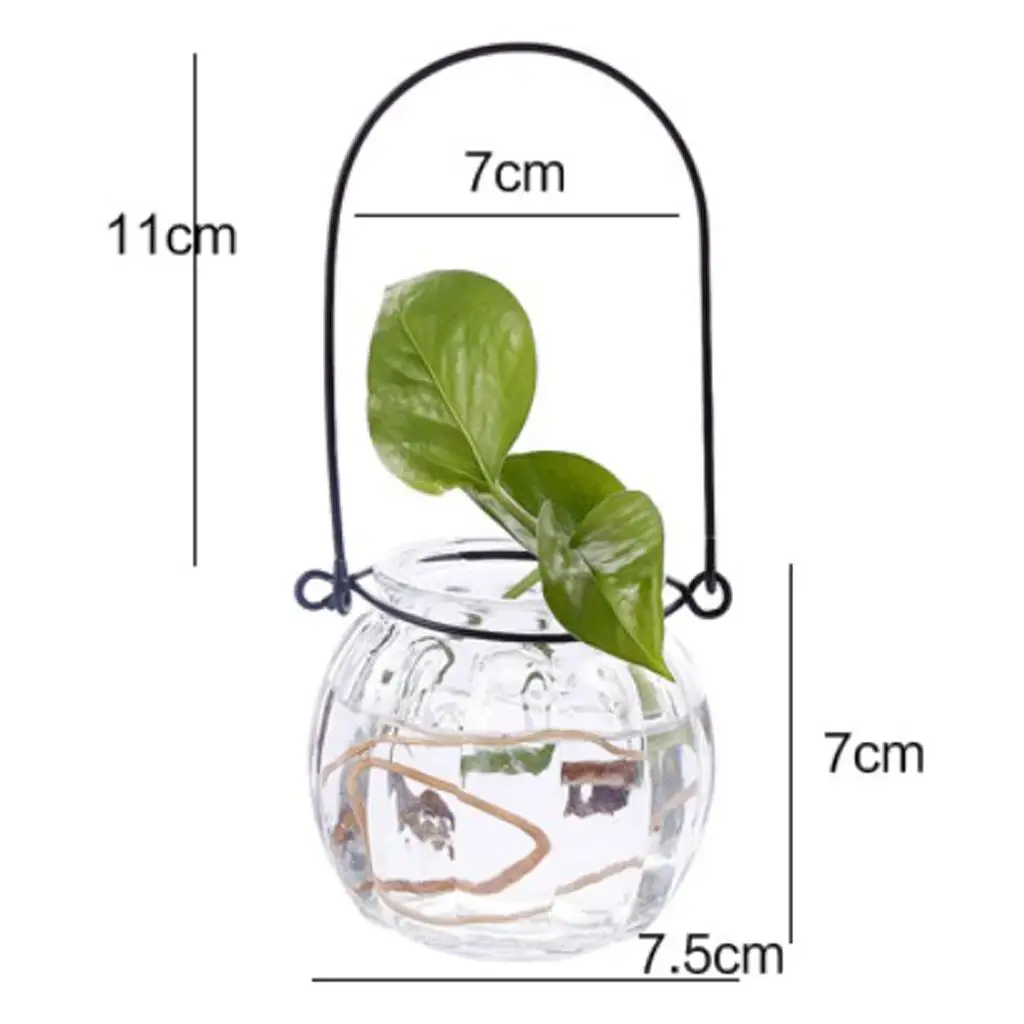Transparent Glass Hanging Flowerpot Hydroponic Planter Pot with Chain for Garden Balcony Indoor