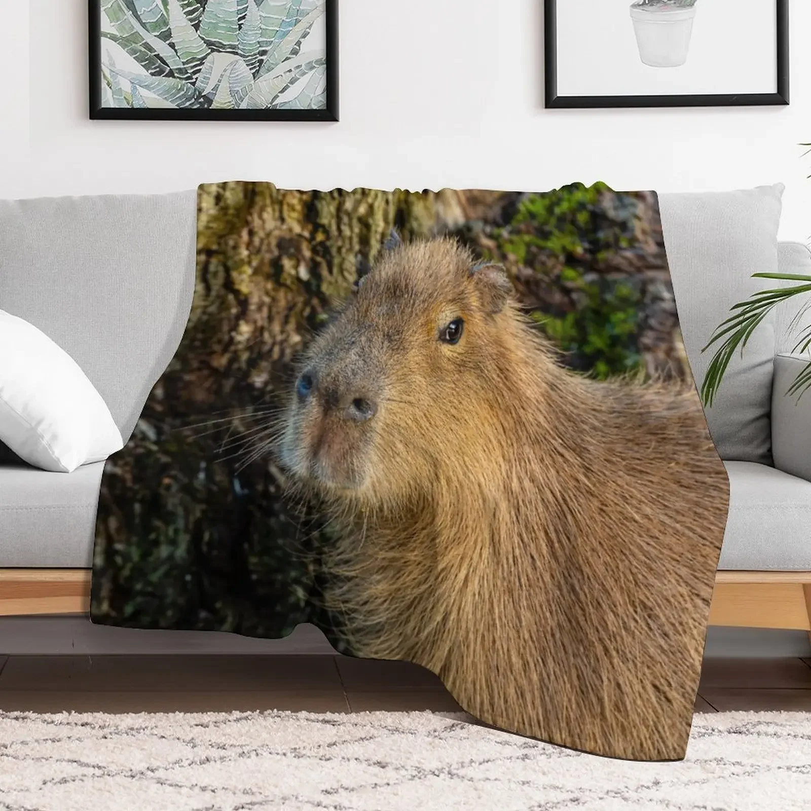 Just watching the world go by Throw Blanket Stain Resistant Cozy Warm Blanket