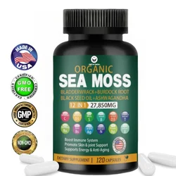 Top Factories Shilajit Resin Himalaya Capsules -Combination Of Ashwagandha, Ginseng, Cordyceps, Ginkgo, Turmeric