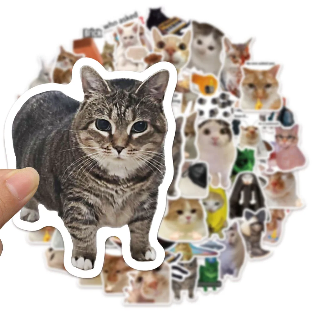 yZ[z50 NGCeBulbg[NlC̔L~[RNVnhAJEg DIY XebJ[JbvXP[g{[hXebJ[