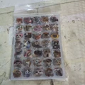 10pcs