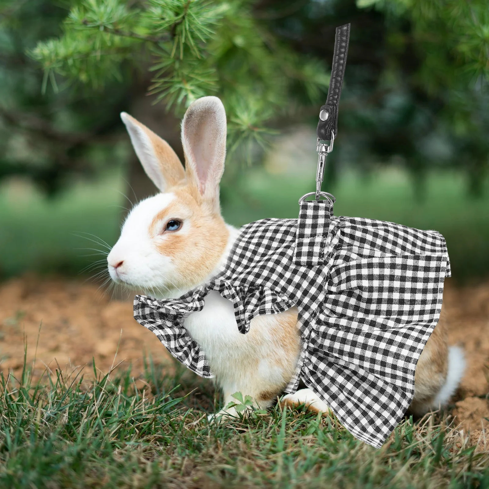 

1 set Rabbit Dress With Traction Rope Pet Bunny Clothing For Outdoor Party Photography Decorative Costume Durable Leash Set Pet