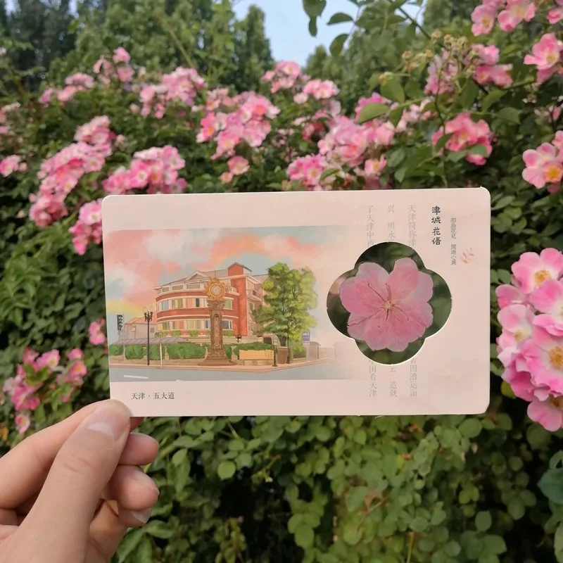 Customized. Dried Flower Reverse Film Postcard Draft Customized Tianjin Travel Companion Hand Begonia Specimen Bookmark Pet