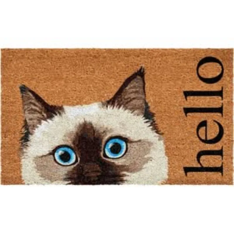 Front Door Mat Bernese Mountain Dog Printed Rug Rectangle Entrance Hello Carpet Non Slip Outdoor Indoor Floor Cushion