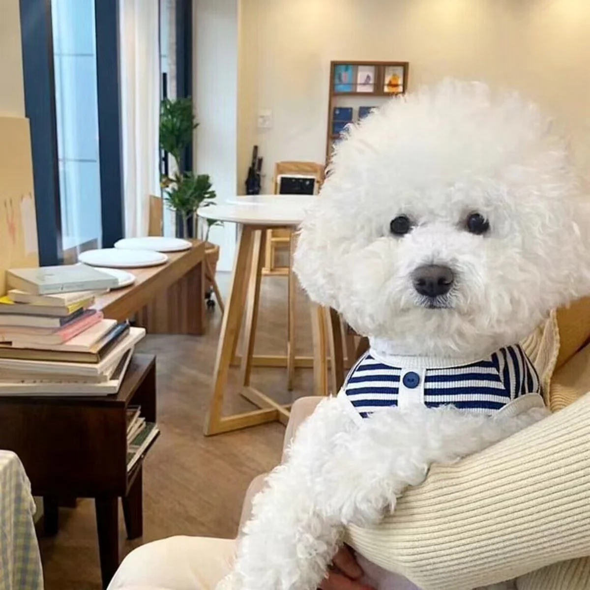 Gestreiftes Waffelstrick-Hundetop - Ärmellose Haustierweste mit Knopfdetail für Kleine Rassen – Detail 5