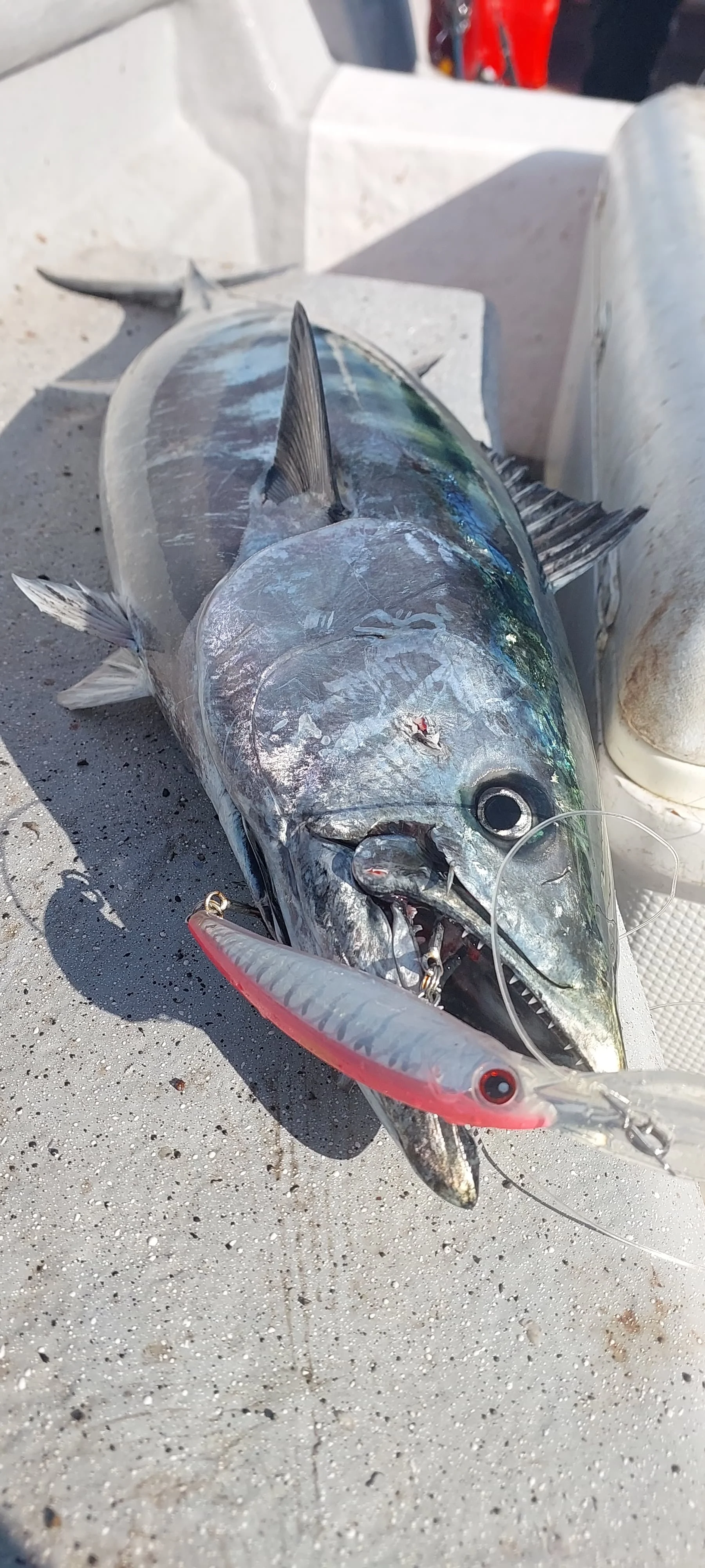 Noeby 140mm 47g 180mm 94g Trolling-Minnow-Angelköder, künstlicher Hartköder mit dickerer Fischgrätenstruktur, tieftauchender schwimmender Angelköder – Detail 1