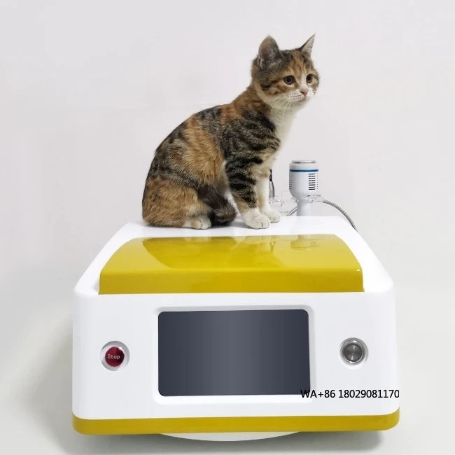 Rehabilitation Equipment for Pain Relief Inflammation Control and Tissue Recovery Use Pet Therapy Device 980nm Animal
