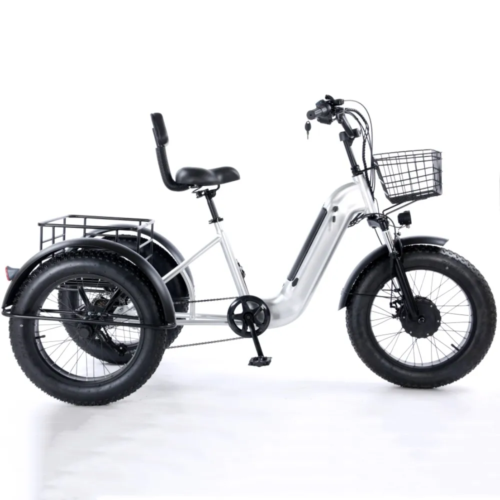 

Electric Tricycle cargo ebike 48V500W 3 wheel folding electric bicycle adult cargo electric bike with basket