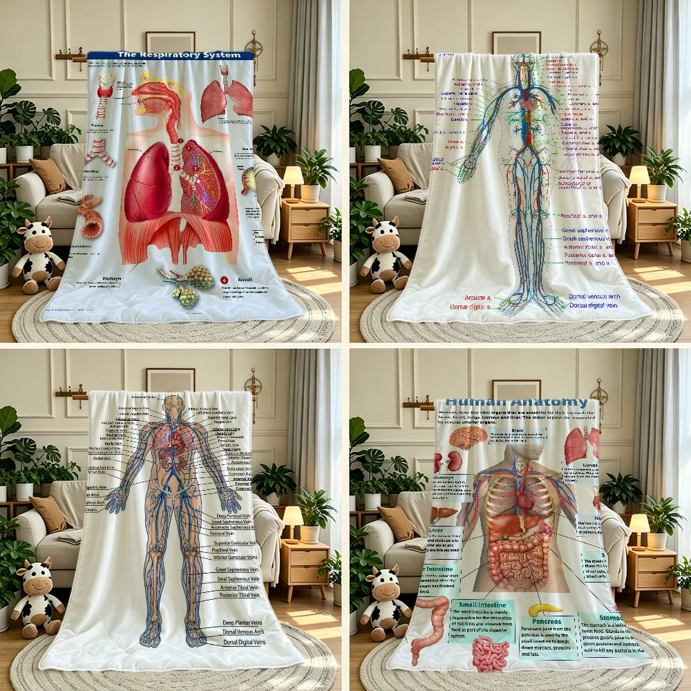 Human Anatomy Cheat Sheet Blanket Throw Super Cosy Plush Living Room Sofa Couch Childish Birthday Gifts