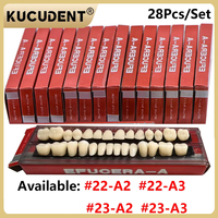 28 Teeth Dental Denture Acrylic Resin Full Teeth Upper Lower Shade 22# 23# A2/A3 False Teeth Research On Dentist Education Model