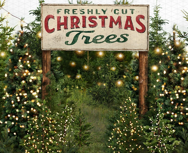 Fall Backyard  christmas tree Farm String Lights backdrops computer print party supplies Photography Studio Backgrounds