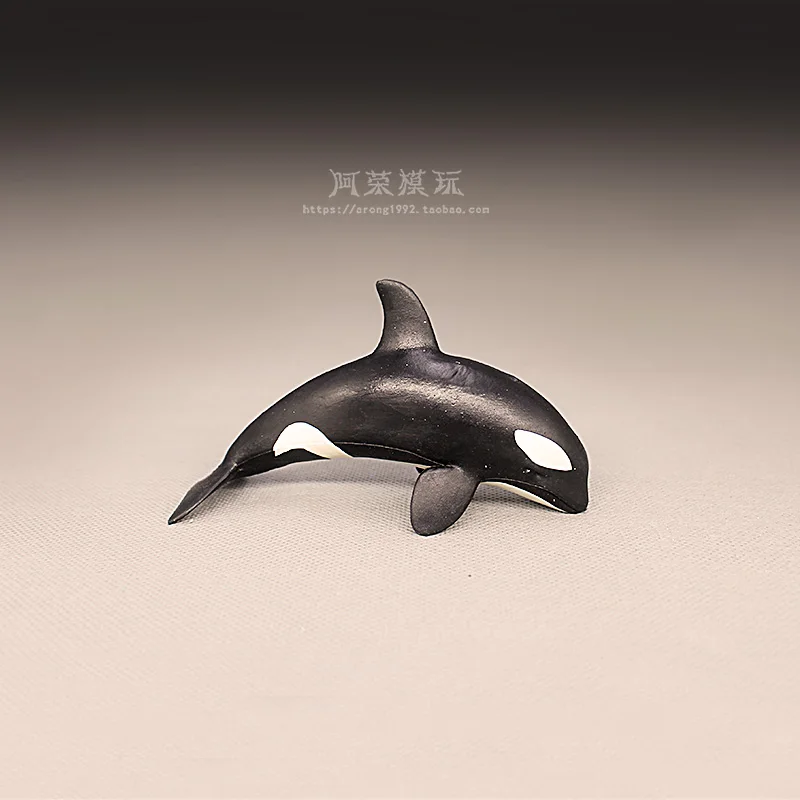 محاكاة المعرفية نماذج شخصيات الحيوانات البحرية الحوت الأزرق الحوت الأبيض الحوت الأحدب الحوت مصغرة زخرفة الملحقات #3