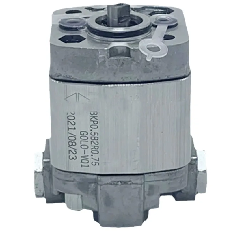 Bomba de engrenagem bidirecional BKP0.5B2R0.75/R0.65/R1.5/R1.7GOLO-VQ1 Bomba