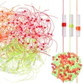 Mixed-White  150PCS