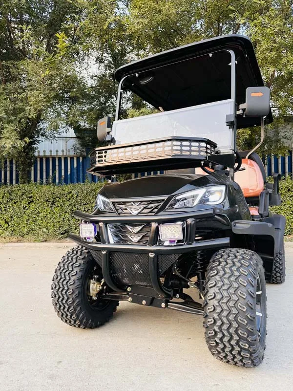 2 4 6 مقاعد عربات الغولف الكهربائية على الطرق الوعرة عربات التي تجرها الدواب سيارة بطارية الطاقة عربة الغولف #5