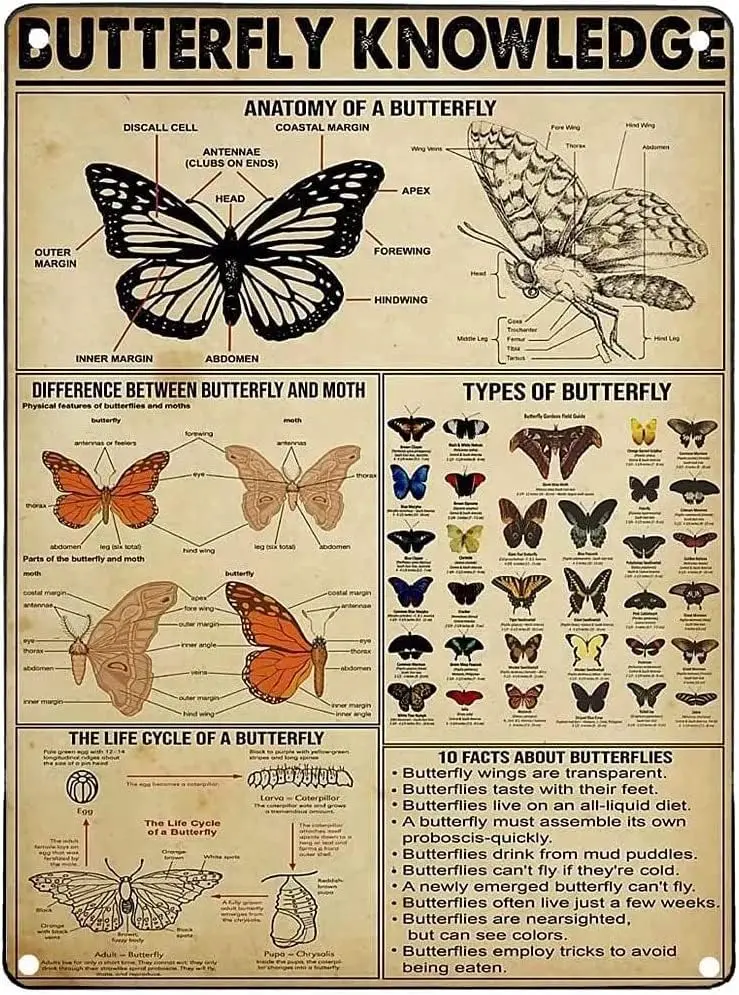 Butterfly Knowledge Vintage Metal Tin Sign Insect Science Guide Decor Retro Poster Plaque for Home Kitchen Farmhouse Wall A sign
