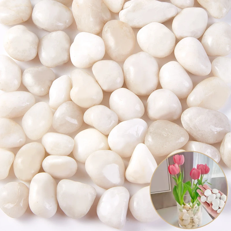 200 ~ 800g galets blancs 2 ~ 3cm conception de paysage et pavage de route pierres de fleurs de pluie hautement polies pierre de décoration de piscine TMZ
