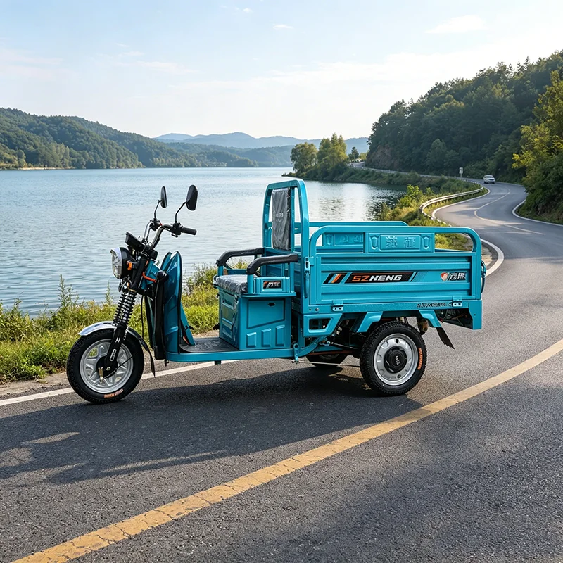 Electric Three Wheeled Cargo Vehicle Large Lock Box Electric Tricycle