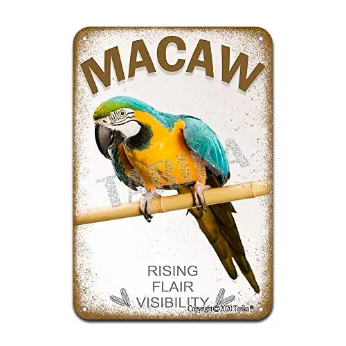 Macaw Rising Flair Visibility Iron Poster Painting Tin Sign Vintage Wall Decor for Cafe Bar Pub Home Beer Decoration Crafts