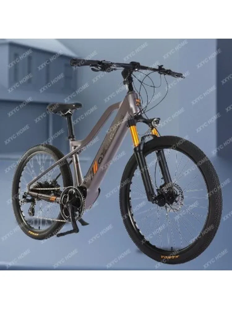 Mountain Bike Variable Speed off-Road Double Disc Brake Bicycle Variable Speed Bicycle Adult