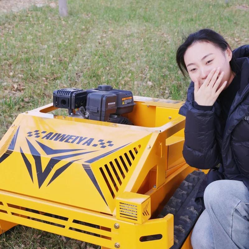 

Customized new mini farm remote control home robot power track lawn mower 4-stroke cordless lawn mower DIY
