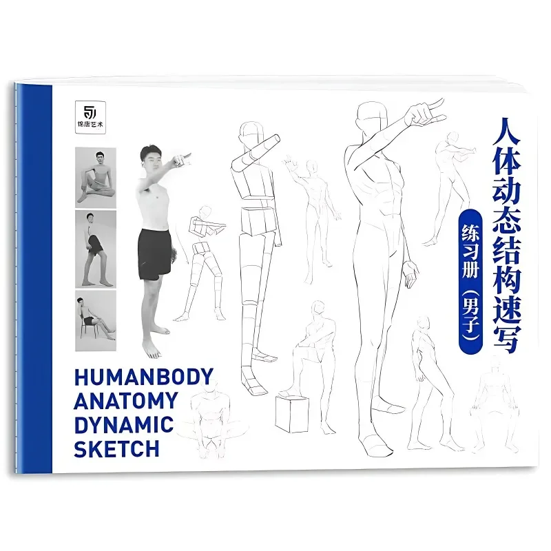 

Human Body Dynamic Structure Hand-painted Tutorial Book Sketch Tracing Book Dynamic Anatomy Comic Character Painting Tutorial