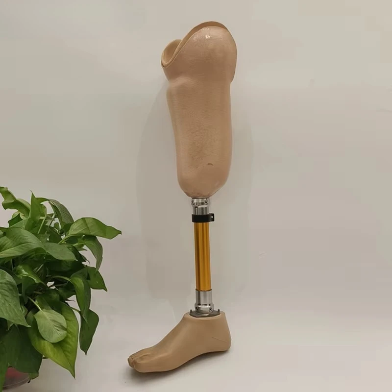 Only components, no receiving chamber-Custom Under-Knee Prosthetics for Amputees