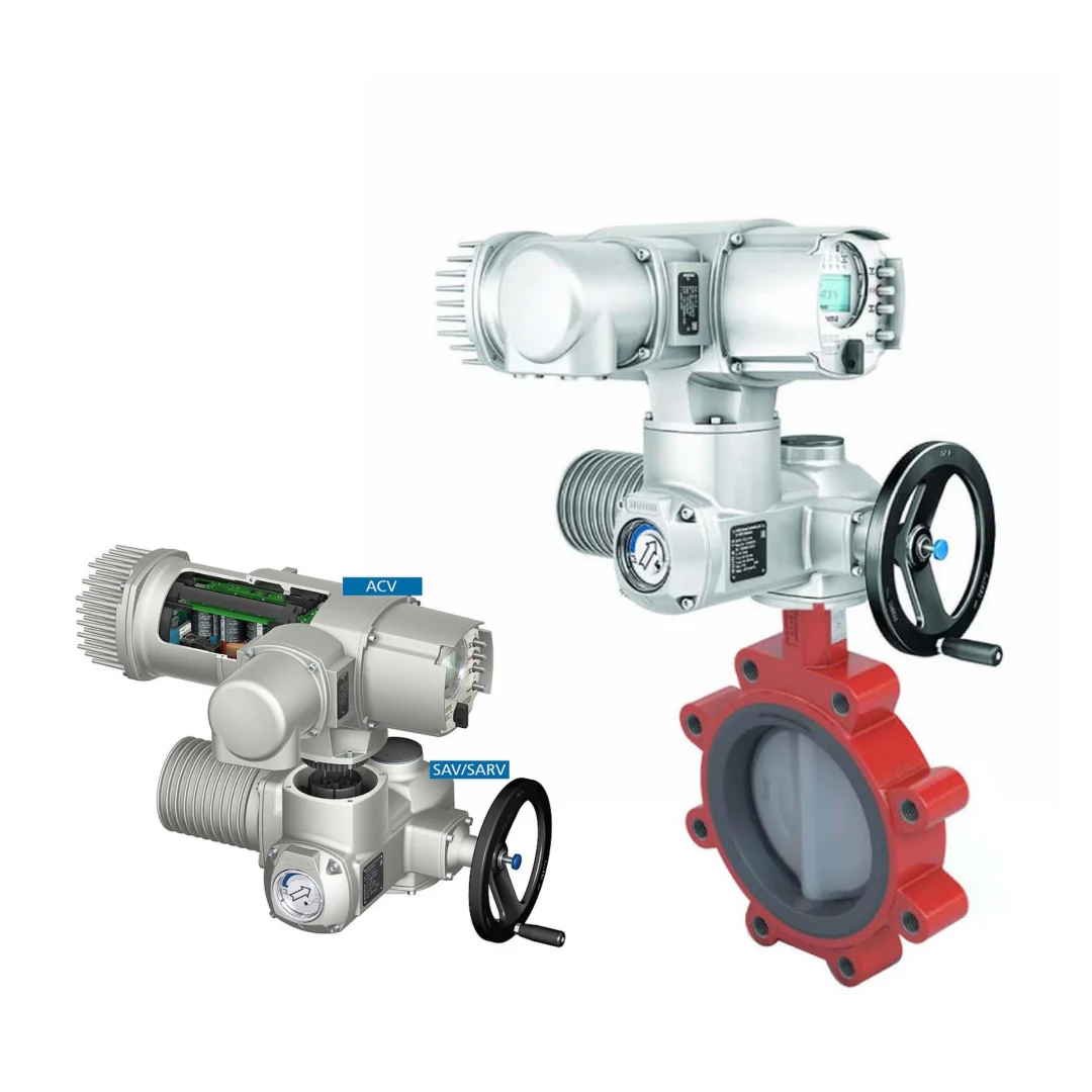 Chinese Butterfly V…