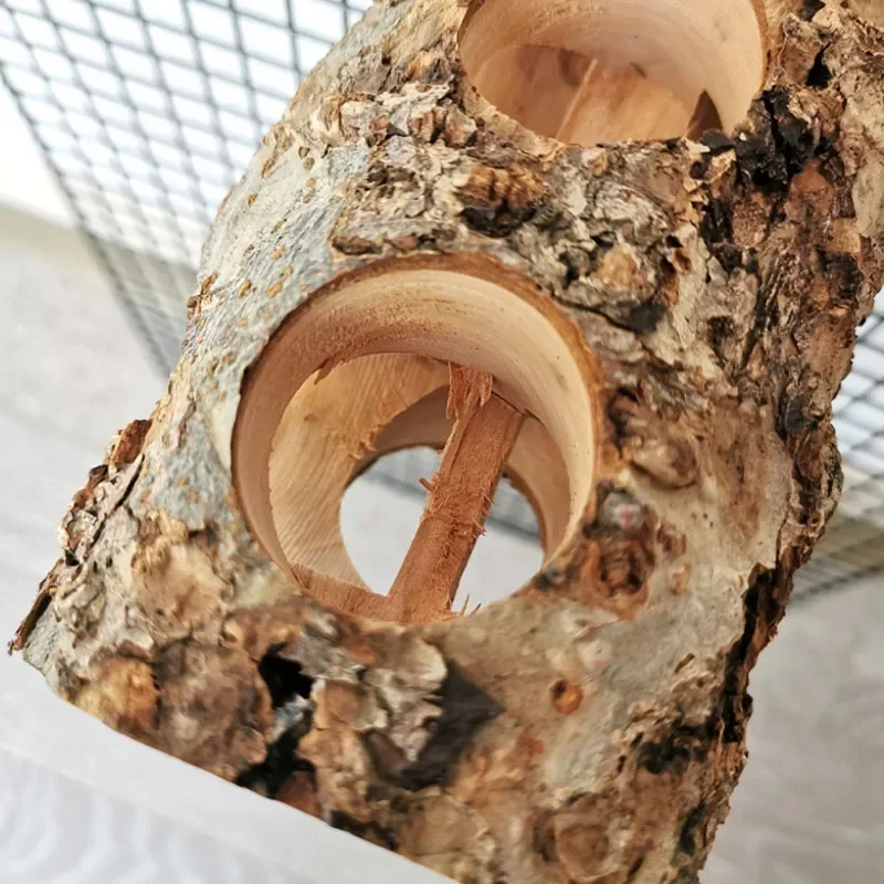 Pet Hamster Toy Natural Apple Tree Branch Teeth Grinding Playing Standing Cage Toy Rabbit Chinchilla Small Animal Supplies New view 4