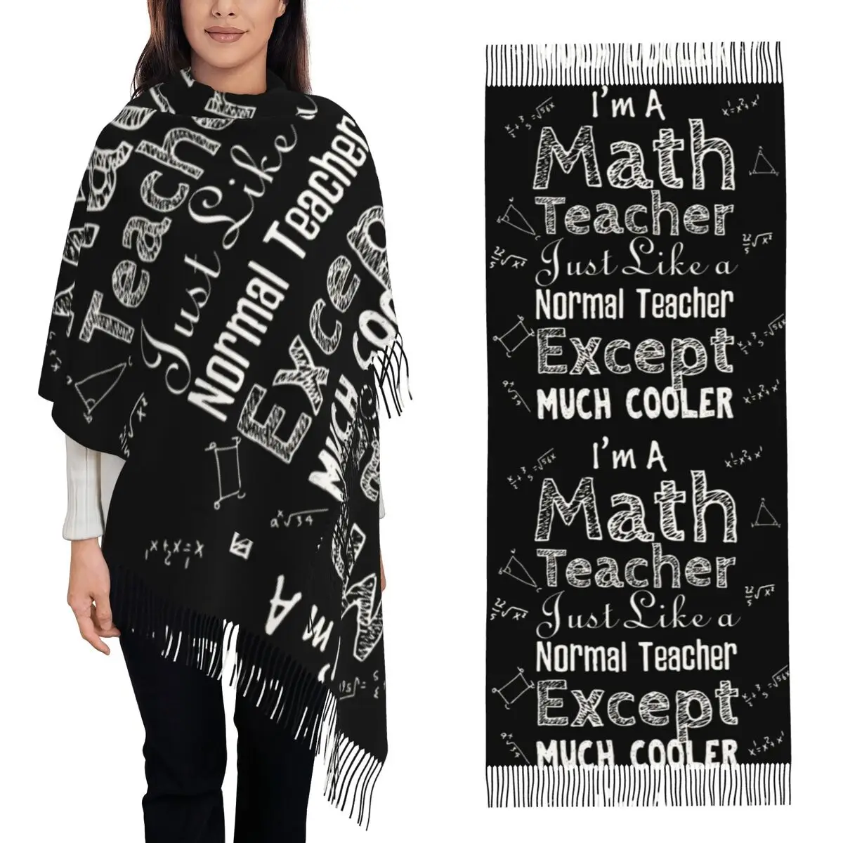 

I M A Math Teacher Scarf Tassel Scarves Women Soft Warm Shawls and Wraps Large Fall Winter Shawl Wrap