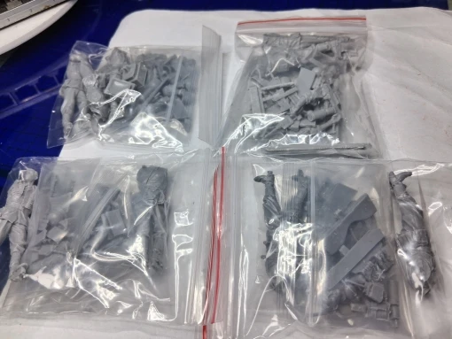 Buyer photo of this resin kit