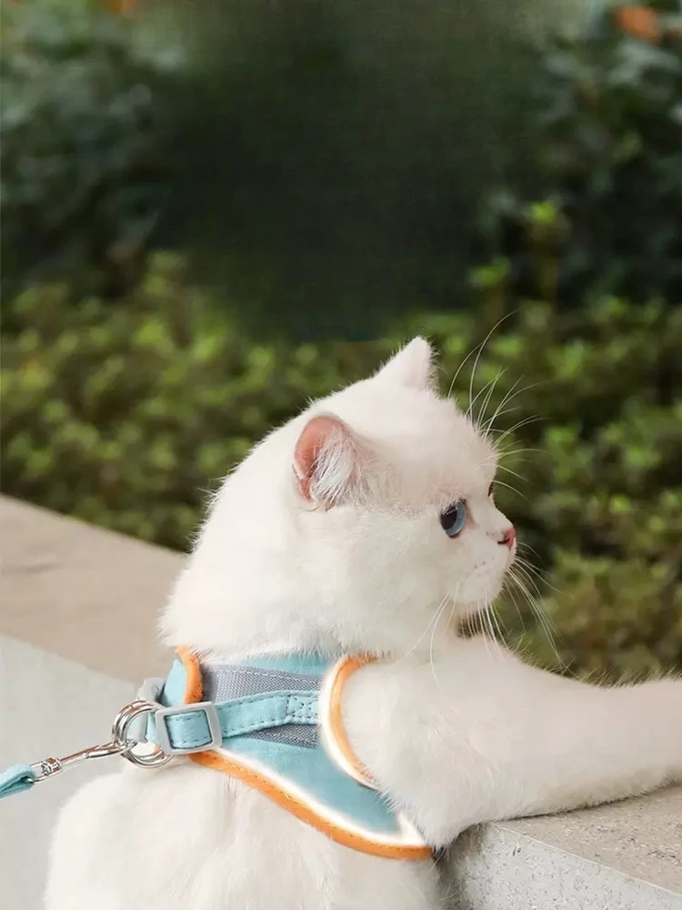 

Pet Cat Leash Cute Vest Type Chest Strap To Go Out To Prevent Escape Cat Leash Cats And Cats