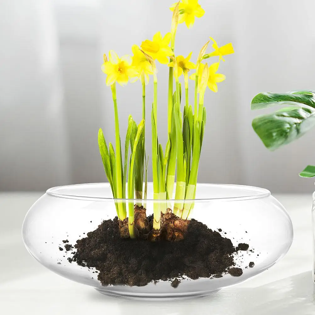 

Small Fish Tank Daffodil Pot Planter Pots Decorate Accessories Planters for Plants Office