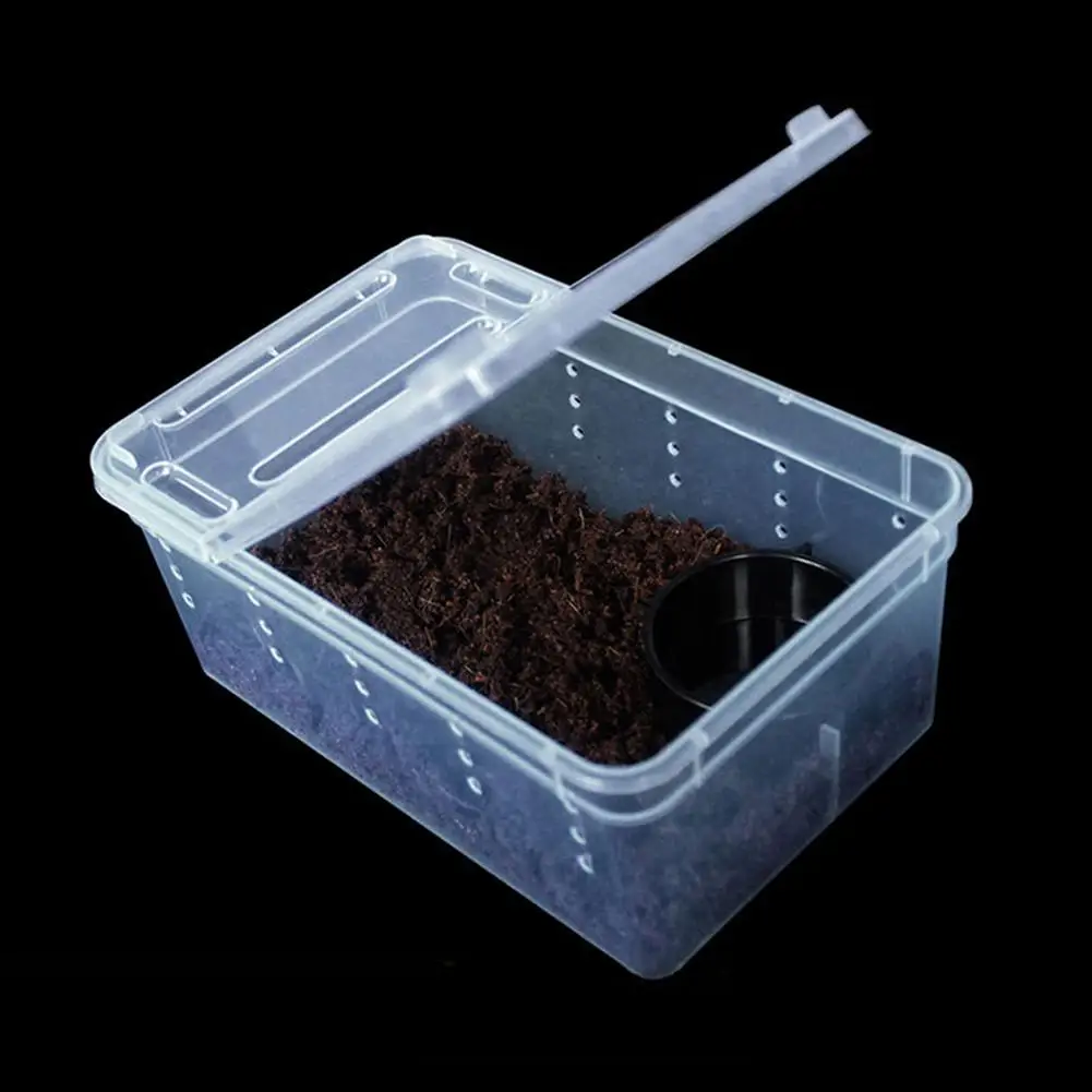 Small Pet Reptiles Living Box Reptile Terrarium Habitat Scorpion Spider Ants Lizard Breeding Case Hatching Container Rearing Box