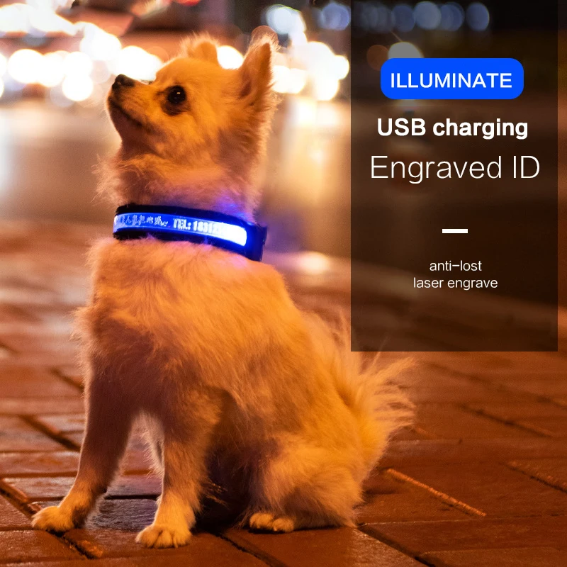 Thumbnail 2 - #29 Ranked LED Puppy Collars Picks in 2026