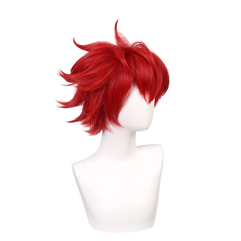 Pondong SK∞ The Infinity Skateboard, Kiyomoto Riki Cosplay Wig