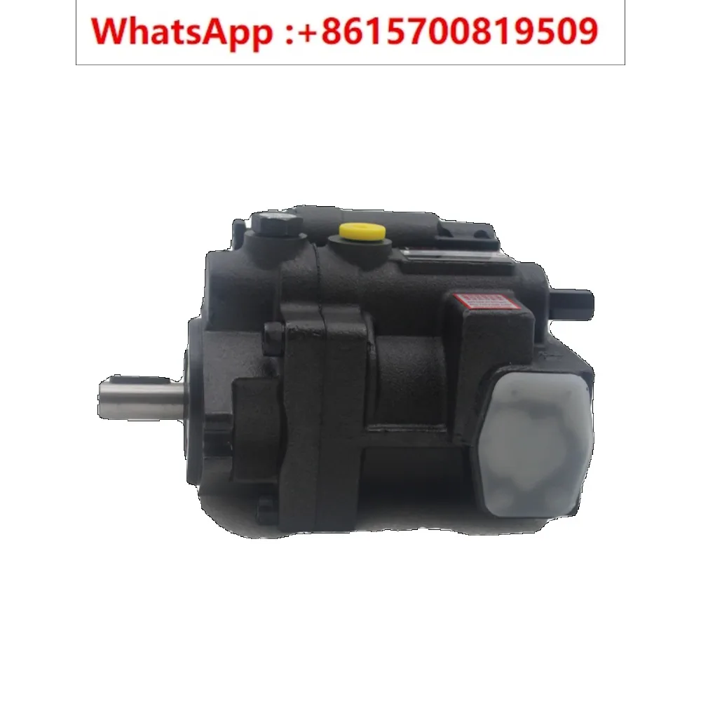 Plunger pump high pressure oil pump P16/P22/P36/P46-A0/A1/A2/A3-F-R-01