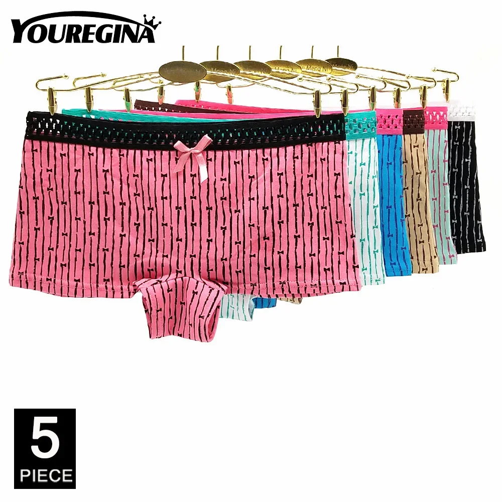 Underwear Women Sexy Boyshort Transparent Briefs Cotton Ladies Panties Low-rise Embroidery Boxer 5 pcs/lot