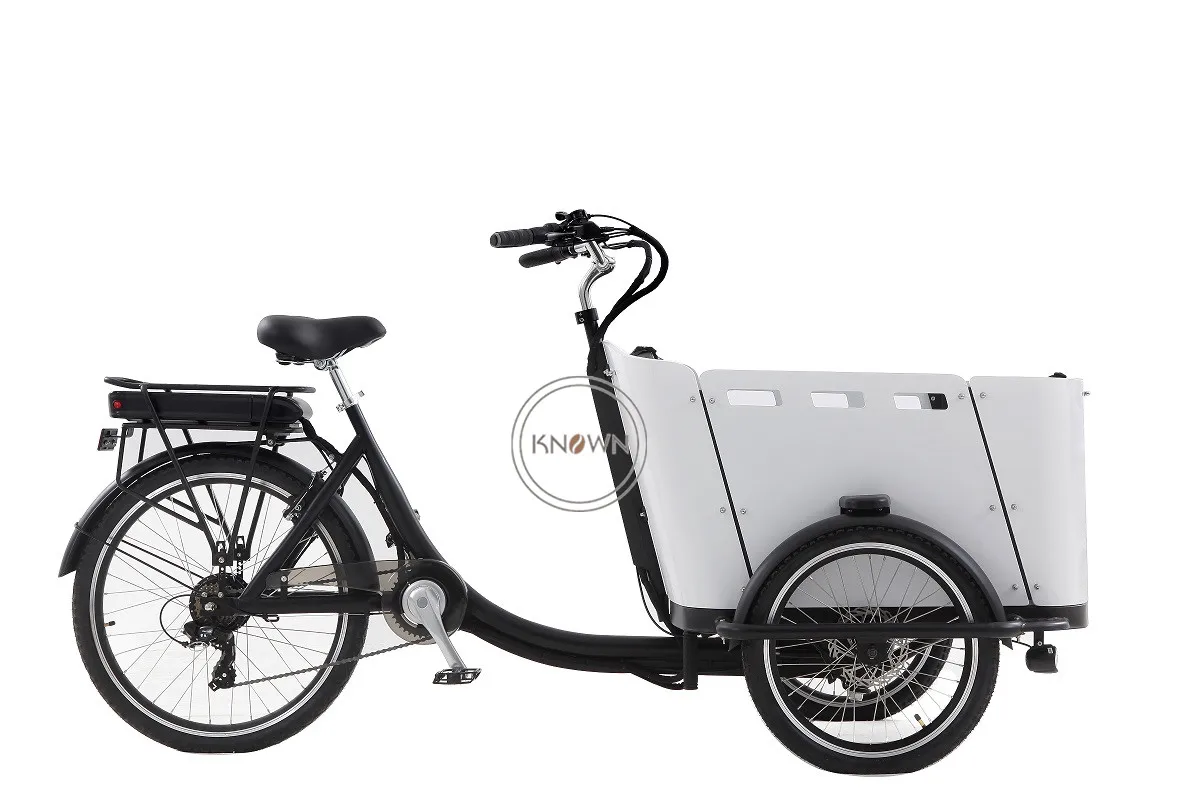 Freight Electric Tricycle Hot Selling Iron Frame Reverse Cycling New Family Three Wheel Cargo Bike Manned Bicycle