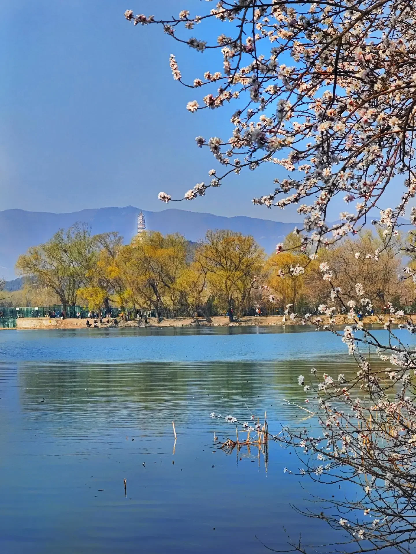 

Комплект из 4 металлических колес TRX4M с шинами 1 дюйм и ступицами для радиоуправляемых краулеров 1/18: TRX4-M Defender, Bronco, SCX24, FMS