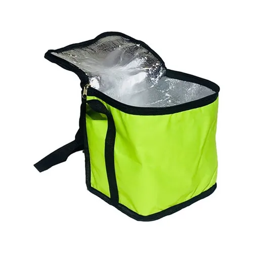 Carneil – pendentif résistant au froid, 8 litres, Camping pique-nique, sac de transport de nourriture thermique, vert LT102