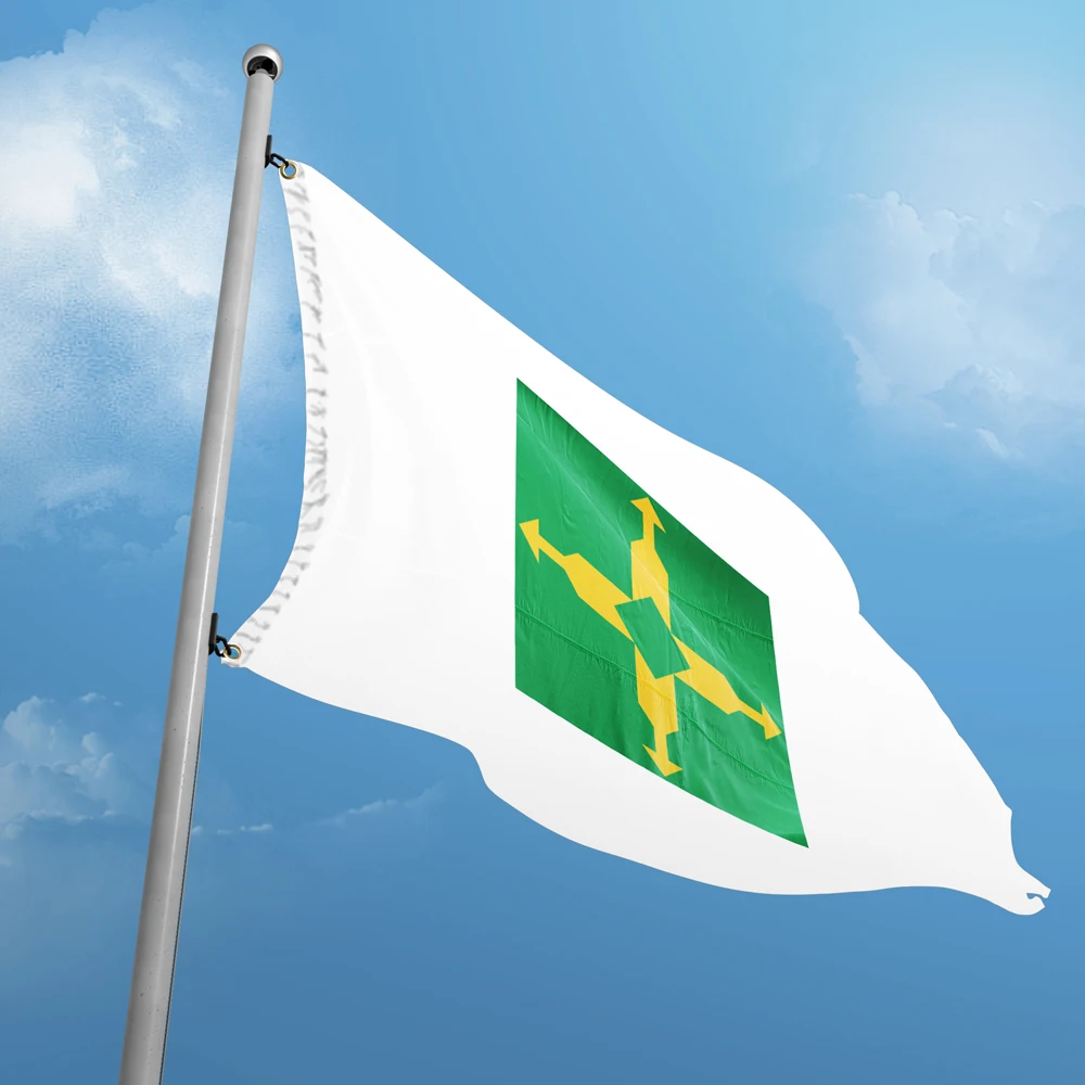 Flag of the Federal District 3 x 5 FT 90 x 150 cm Brazil Brazilian State Flags Banners Design Custom Outdoor Decor Polyester