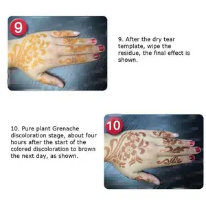 Natürliche Kräuterhenna -Zapfen Temporäres Tattoo, Körperkunstfarbe, Mehandi -Tinte, 3 Farben 8 Hauptverkaufsmix Henna - №3