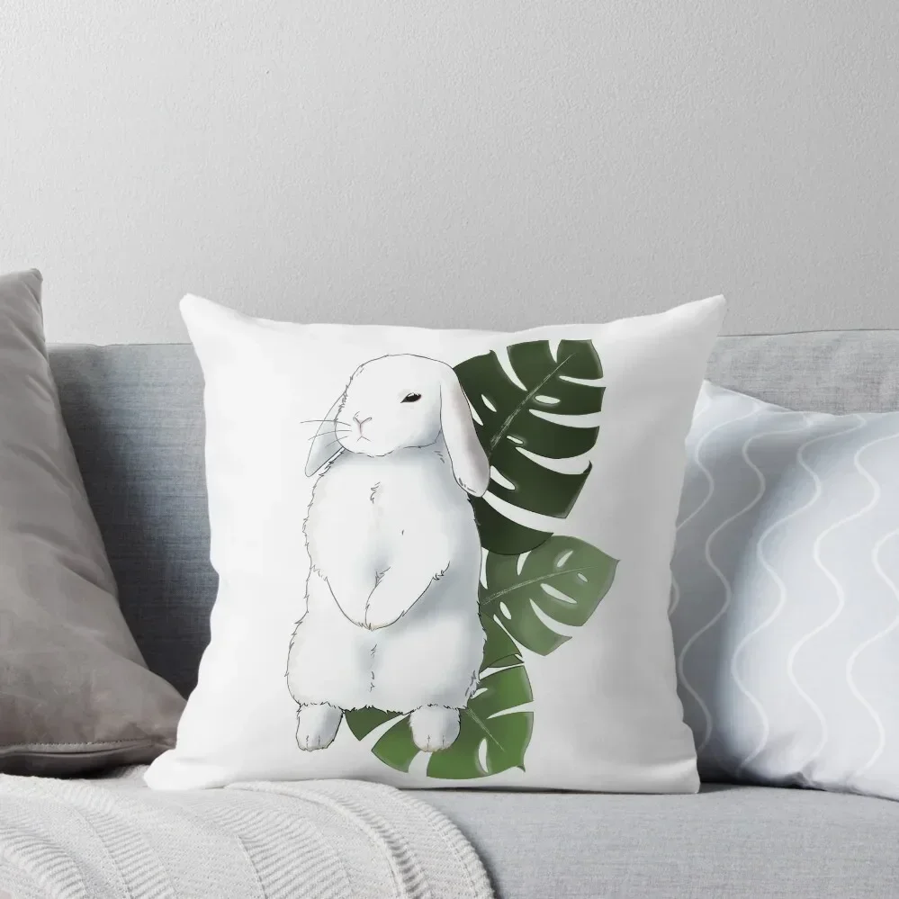 Holland Lop Rabbit …